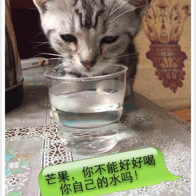 没有高中毕业证大学毕业有毕业证吗